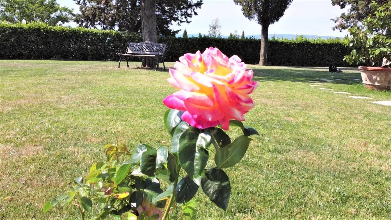 Tenuta Barbadoro Agriturismo Apartment Montespertoli Bagian luar foto